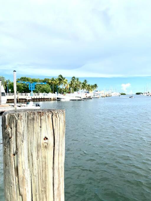 Groveo5 10 Minutes From Miami Beach Екстериор снимка